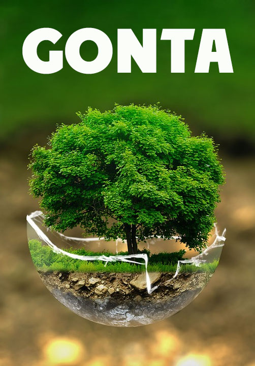 Gonta sadovaja mebel05